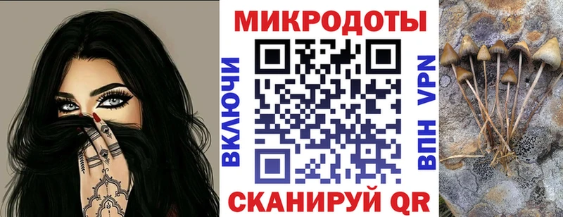 дарк нет как зайти  где можно купить наркотик  Туринск  Галлюциногенные грибы ЛСД 